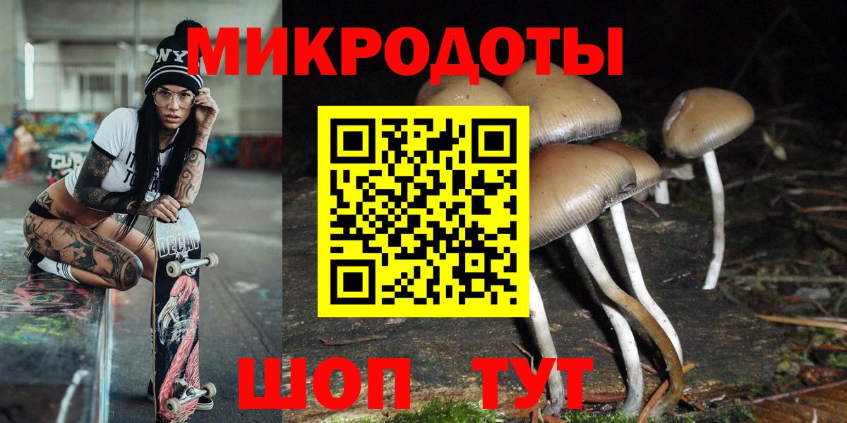 Псилоцибиновые грибы Psilocybine cubensis  Вход с VPN  Северск 