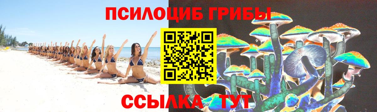 Псилоцибиновые грибы мухоморы Северск